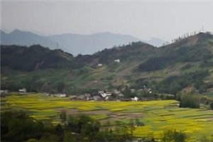 沈雪鸢尉洵然全文小说_王爷开始漫漫追妻路全集阅读 第1张 沈雪鸢尉洵然全文小说_王爷开始漫漫追妻路全集阅读 第1张