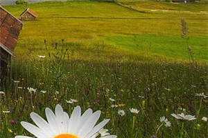 太子不对劲lofter裴宝善崔鹤亭全本小说章节目录阅读 第1张 太子不对劲lofter裴宝善崔鹤亭全本小说章节目录阅读 第1张