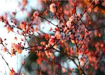 今换君一念（段幼荷段熠）免费小说阅读