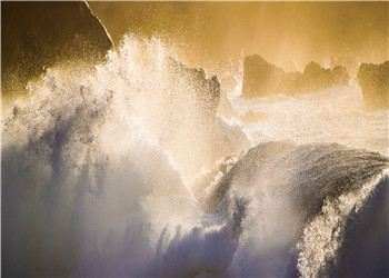 《何念白烨庭帝都炽夏夜》小说大结局章节阅读