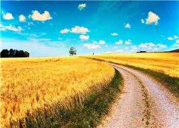 《谋局天下》耿大明刘彩霞免费阅读