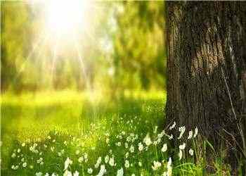 《她是反派的阴影》苏楣小说全文章节阅读