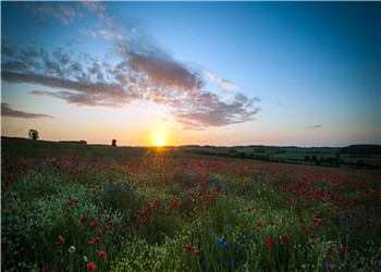 思之悠悠（俞婉骁湛初）小说全文章节阅读