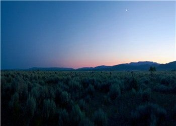 舔狗大赛榜一温韵陆琛全文阅读