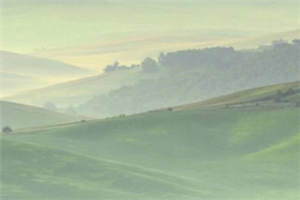 《二少的特工傻妻》小说在线阅读 萧若穆逸枫小说全文