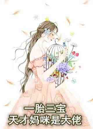 一胎三宝天才妈咪是大佬小说-若禾希盛夜霆无广告阅读JP精品阅读 第1张