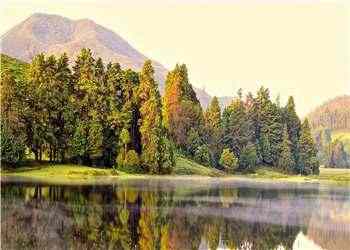 《烟视媚行》天难蓝-林湄邢铮完结版精彩阅读