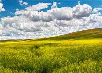 今夏炙热小说在线阅读-林知夏卓晏卿小说