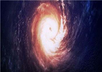 《初恋霸总》曲晓悠封珉完结版阅读