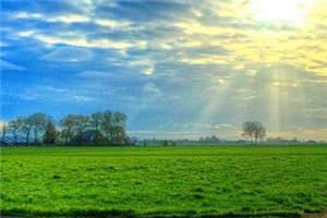 (独家)爱情算个蛋沈烬文凝小说-沈烬文凝爱情算个蛋全文免费阅读