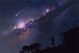 我和我网恋的冤种校霸(程安乔觅)小说_《我和我网恋的冤种校霸》小说在线阅读 第1张