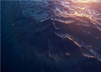 秦慕白花梦黎小说-秦慕白花梦黎小说完整版阅读