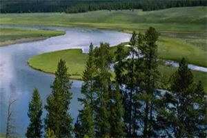 《我的真爱是植物人》（薛思思杜柏）小说全文免费阅读