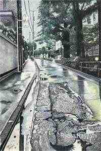 《洛鸢贺禹森》小说最新章节阅读 第1张