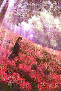 《江山雪》全章节小说_苏亦栀秦思辰全文阅读 第1张