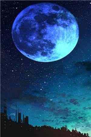 (宋知意谢知舟)665895小说在线阅读-《宋知意谢知舟》小说全本目录免费阅读 第1张