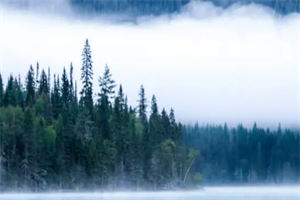 （顾南晴宋博言）全文小说_《消失了三年的丫头回来了》小说大结局阅读