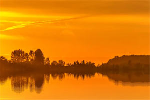 周律师，丫头我放手了（小说全文阅读）-（程岁宁周温宴）无弹窗阅读