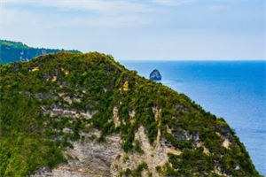 (独家)《执行死刑立即执行》小说免费阅读-《执行死刑立即执行》小说全文