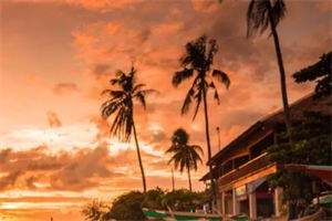 《时光不语静待花开》小说在线阅读_（霍临宸江昕黎）小说全文