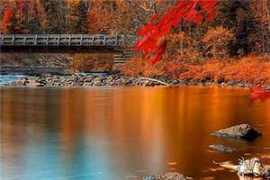 《姜笛贺闻秋崔宁远》免费阅读（姜笛贺闻秋崔宁远）小说在线阅读 第1张