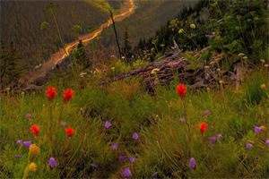  《她如狂风暴雨》小说全文阅读-（温柔顾慕臻）小说无弹窗阅读