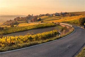 （辛南蓉王铁山）全文免费阅读-《不开窍的大学生》全文阅读