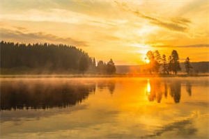 《王爷的外室》小说全文_（沈逸何清）最新章节阅读