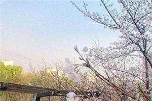 与我退婚全文免费阅读_（姜淮月容钰）与我退婚最新章节列表笔趣阁