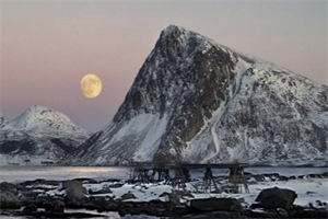 《唐欣欣傅司寒》（唐欣欣傅司寒小说全文免费阅读