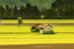 《东宫之主》小说在线阅读_(李誉玉珠)小说全文