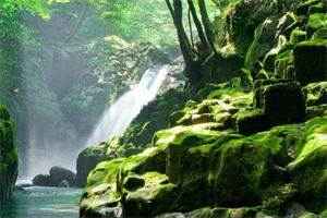 《庶女的结局》小说全文阅读-（顾穗宁萧晏珩）小说无弹窗阅读