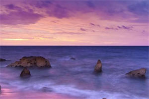 （ 谢倾婉 萧瑾瑜）全文小说_《12564561》小说大结局阅读