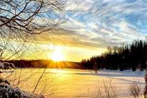 《道是无情却难离》精彩小说_（陆凝雪齐濯）小说全文目录阅读