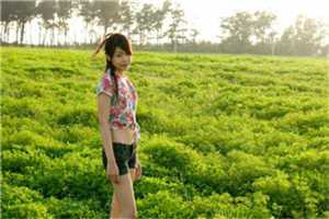 陈念徐晏清陆予阔免费阅读