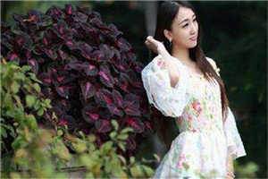 姜子涵王智渊小说全章节阅读