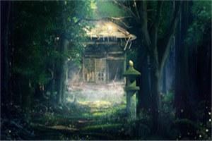 《谢清溪陆庭舟》全章节小说_谢清溪陆庭舟全文阅读