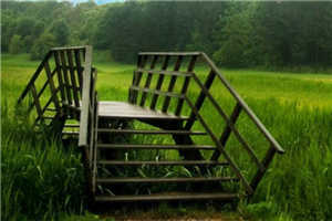 宋知画郁少霆的小说全文免费阅读