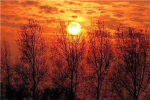 【齐等闲玉小龙】-傲世猛龙小说免费阅读笔趣阁