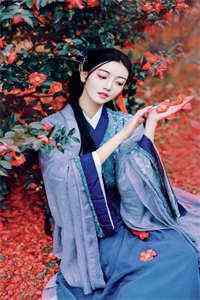 一见倾心终不负-慕寒白洛紫烟 小说全章节目录阅读 第1张