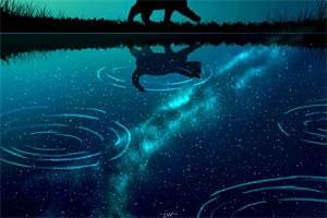 1565463沈娇萧凌章节列表小说免费阅读全文-1565463沈娇萧凌最新章节全集在线阅读