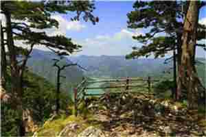 男朋友妹妹查出重病周若宋添-小说阅读