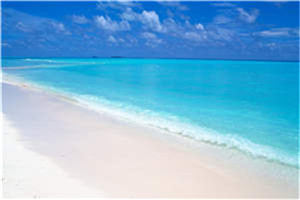 顾夏陆时琛小说-25639865完整版阅读