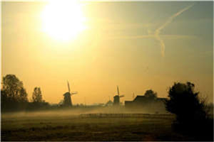 抖音爆款小说江曙季怜星免费txt全文阅读