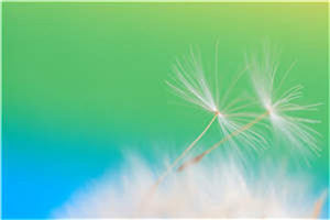 丫头，小叔叔后悔了别走好么知乎小说全文免费阅读