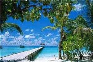 李铁柱王思兰免费阅读全文TXT