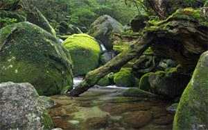 88855996章远何洛全本章节完整免费阅读 第1张