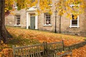 洛清渊傅尘寰大结局免费阅读（洛清渊傅尘寰）全文完整版阅读