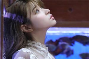 至此青山完结小说_沈颜傅司蘅全章节阅读