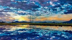 那个墙角陈预小说全集免费阅读